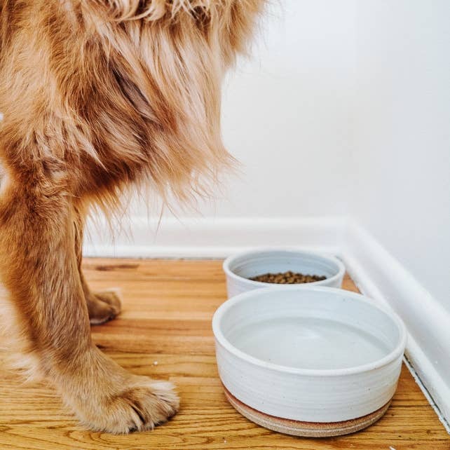 Dog Bowls Pair