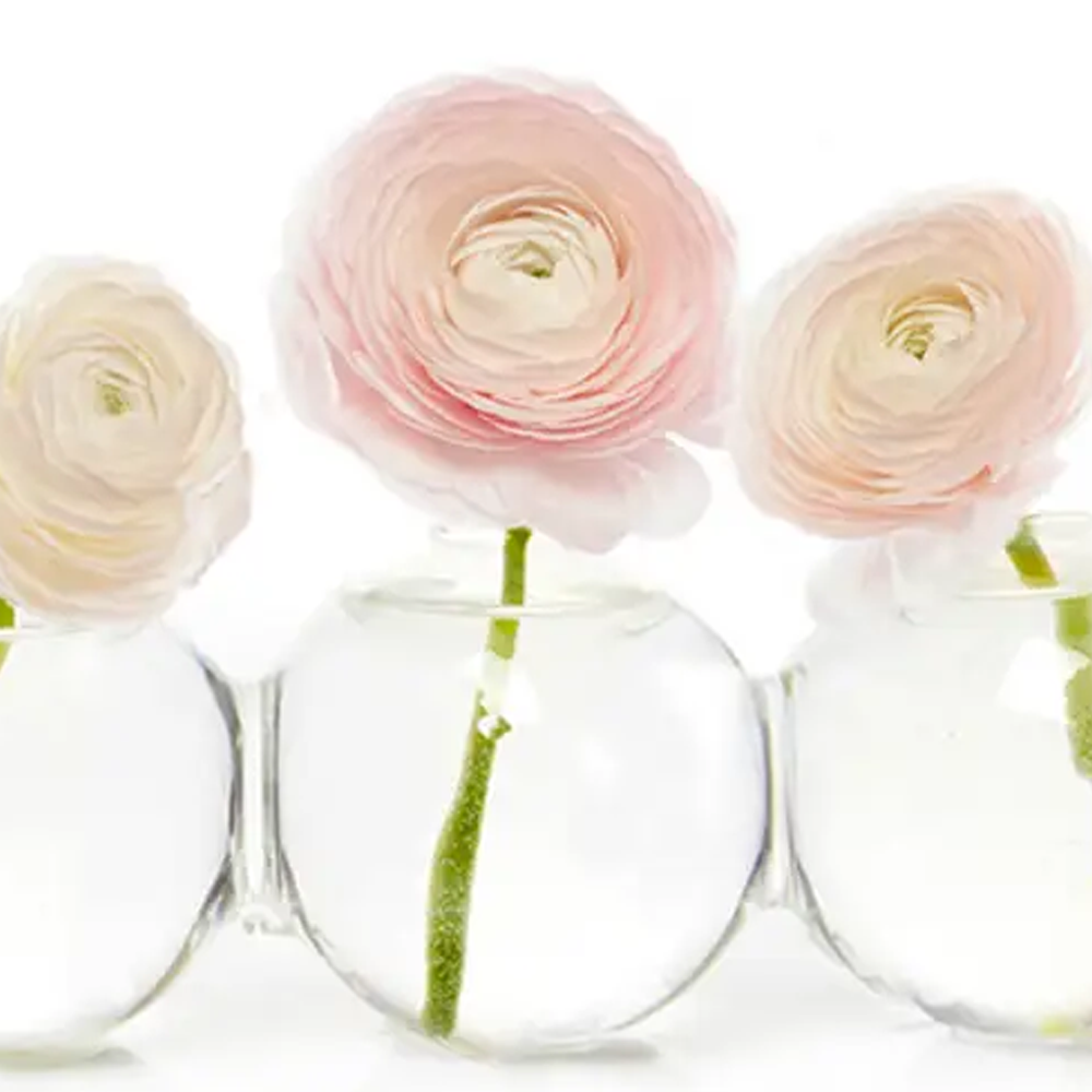 Caterpillar Clear Glass Bud Vase Long. Small And Large