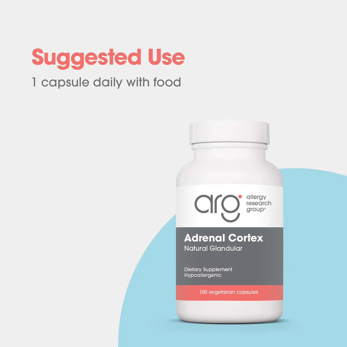 adrenal cortex_3