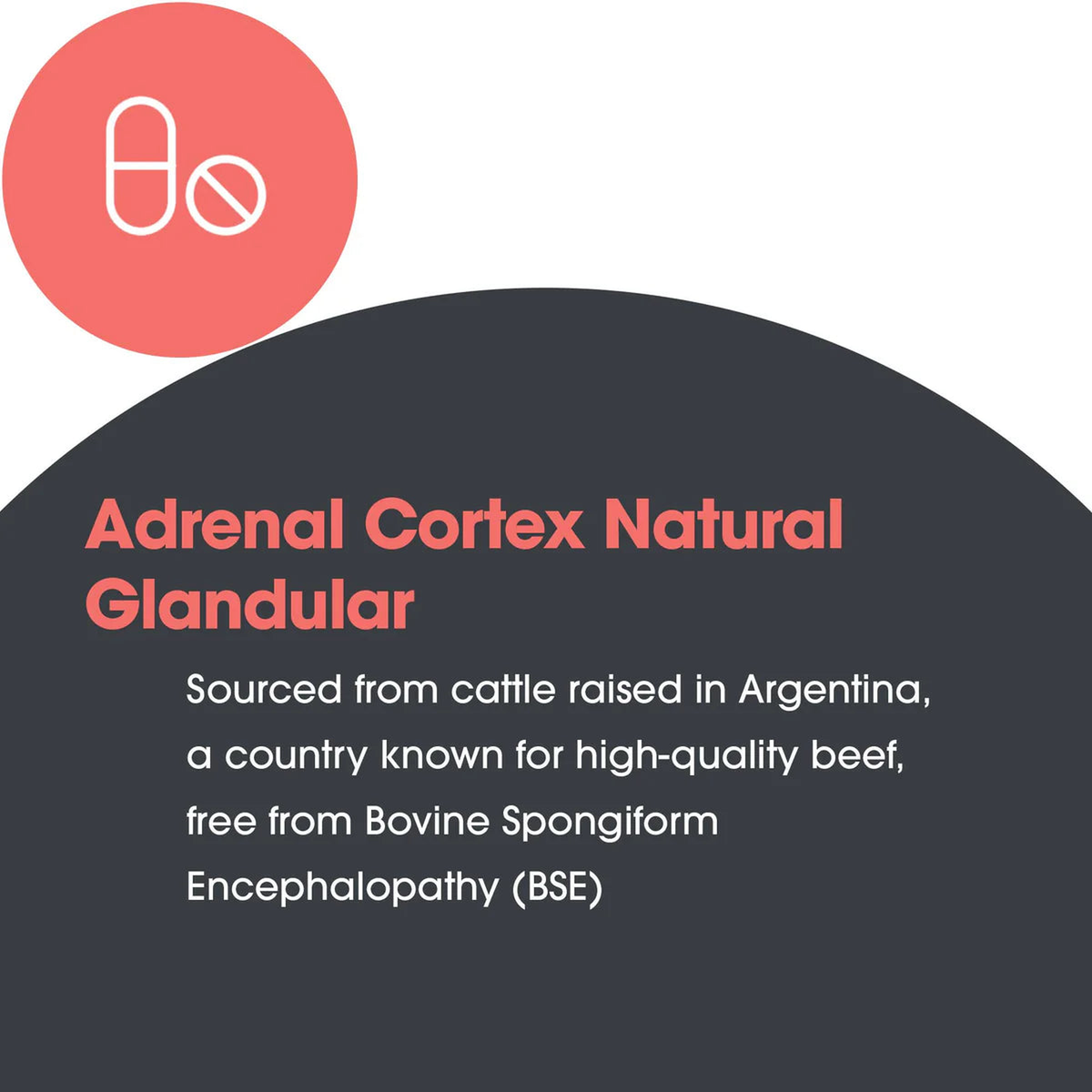 adrenal cortex_4