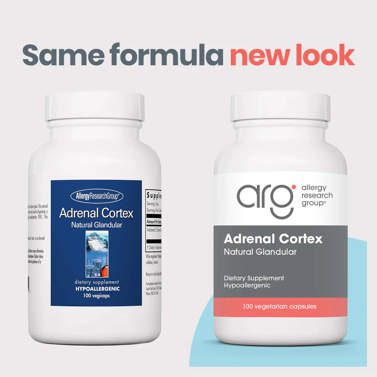 adrenal cortex_5