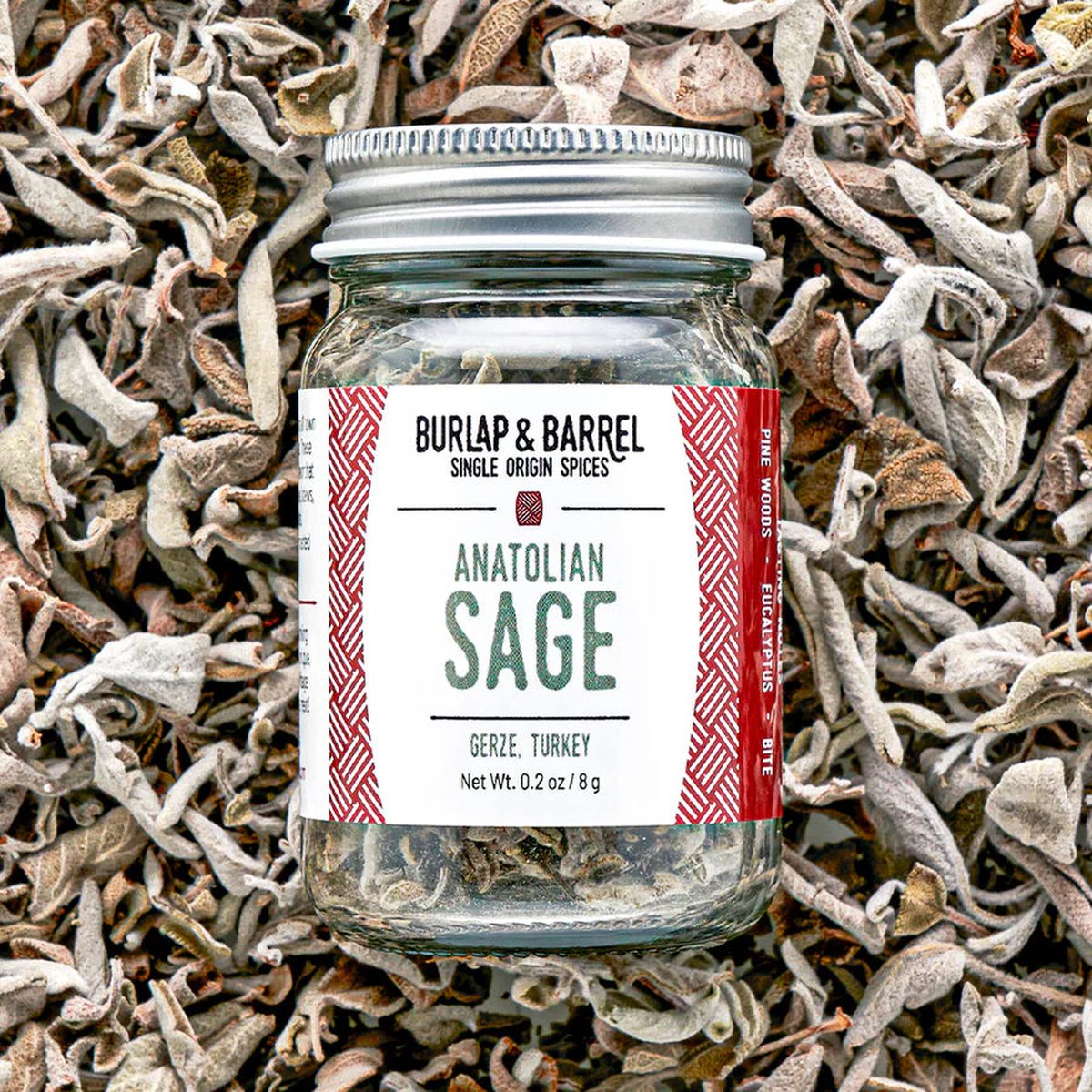 anatolian sage_1