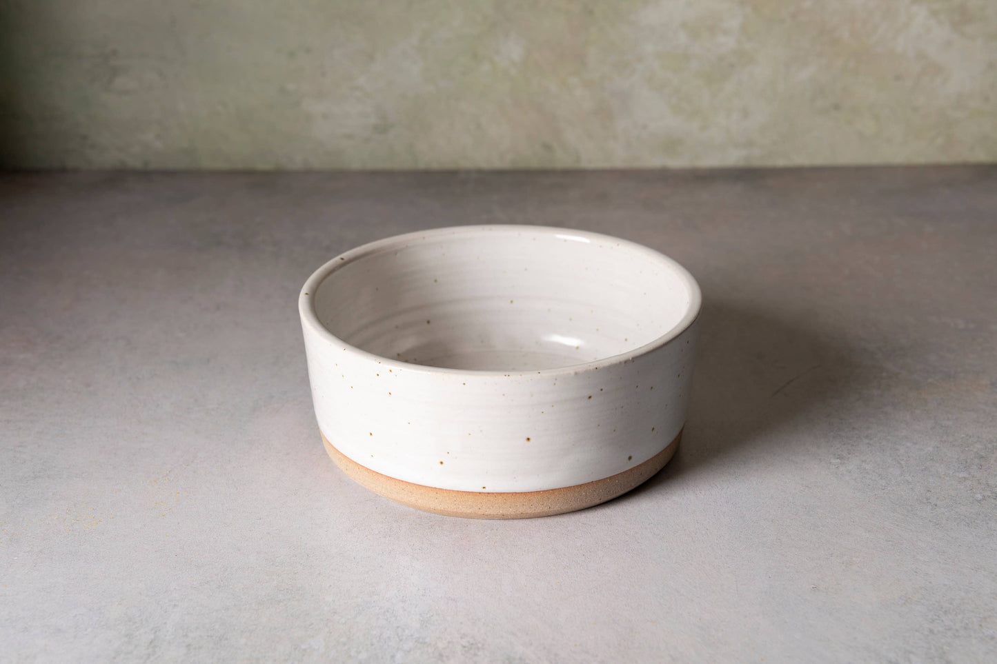 Dog Bowls Pair