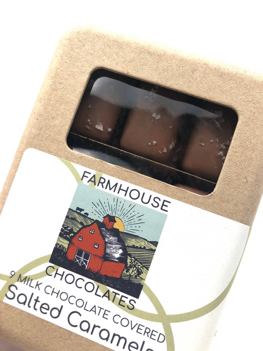 Caramels - Milk Chocolate covered, Salted ( 9 Pieces)