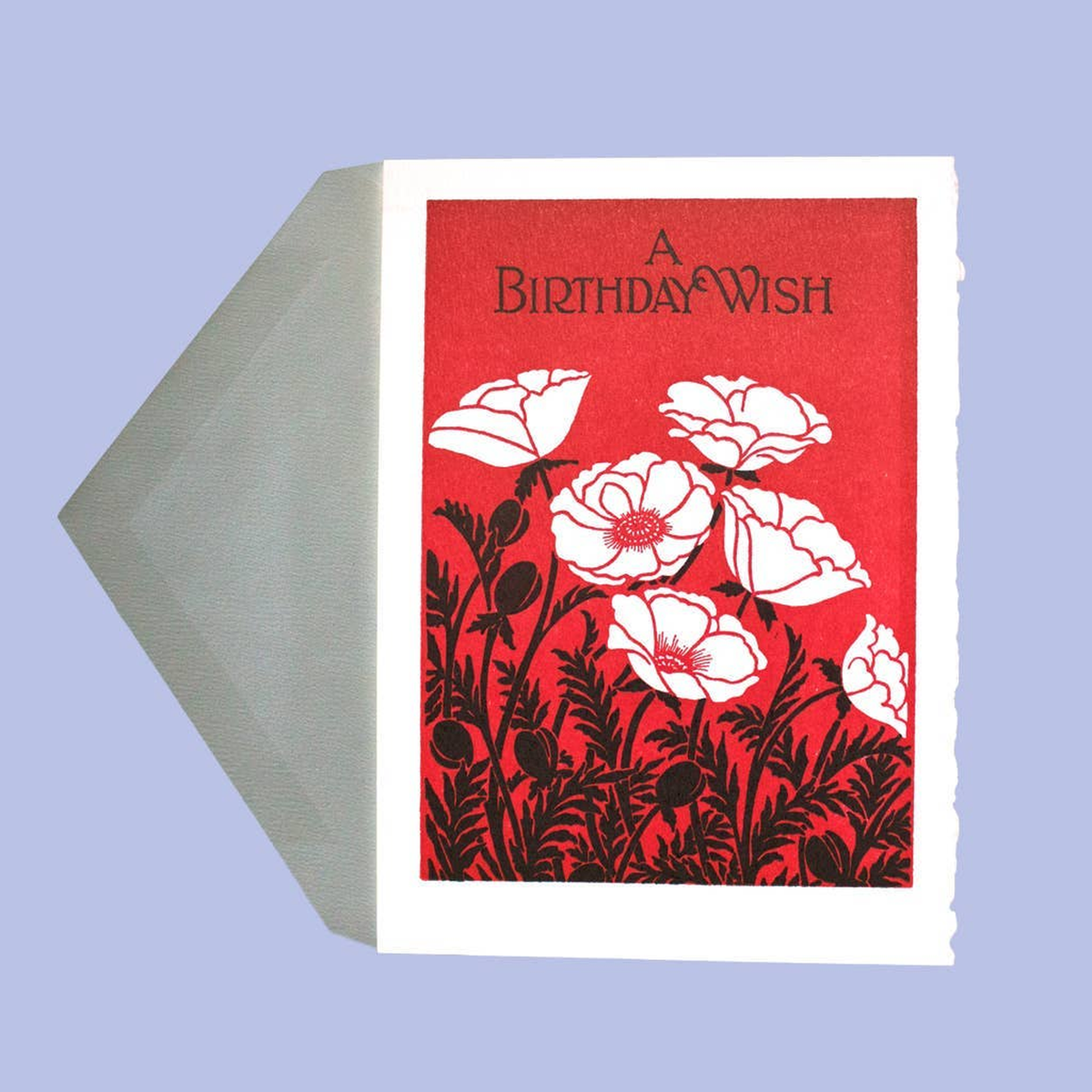 birthday papaver greeting card_1