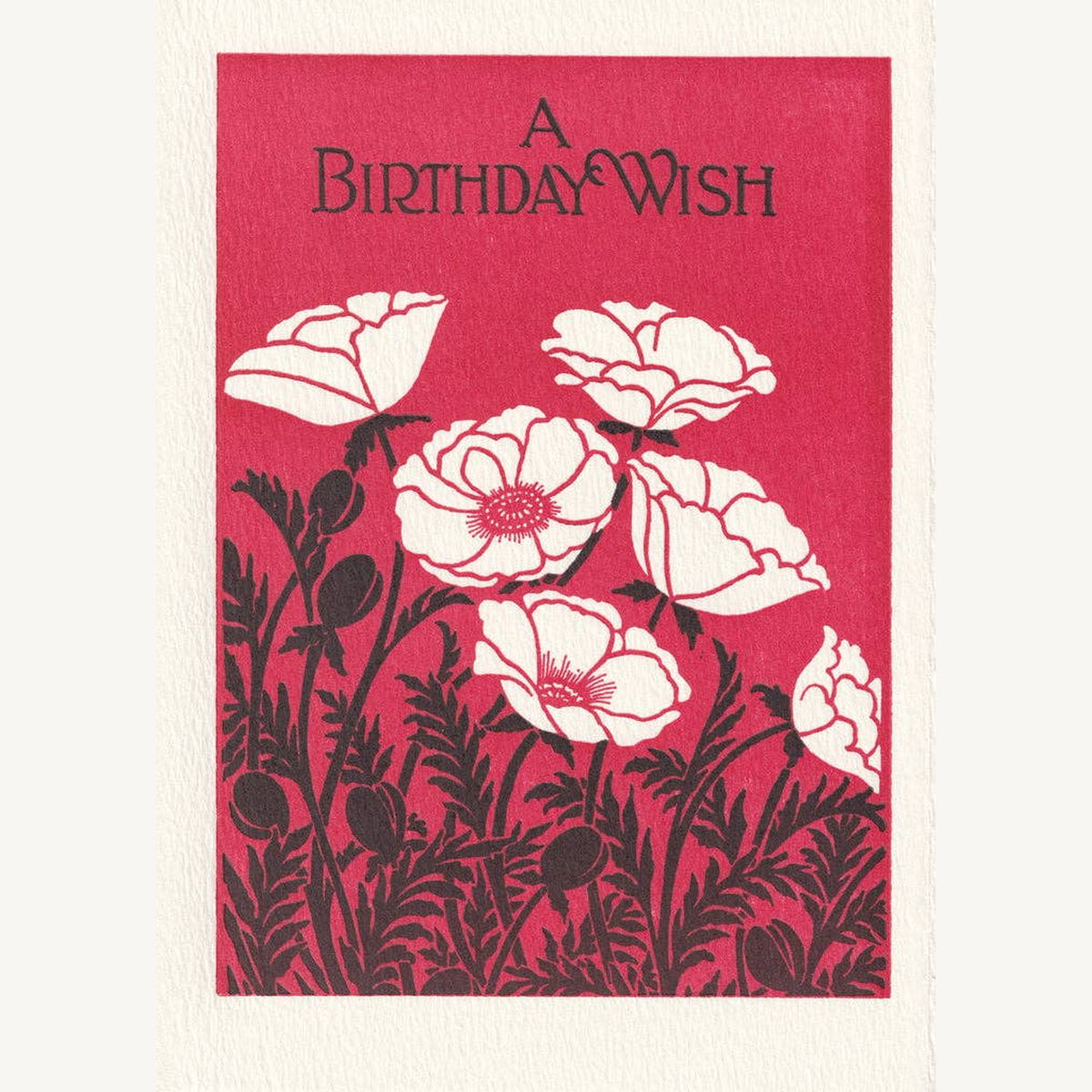 birthday papaver greeting card_2