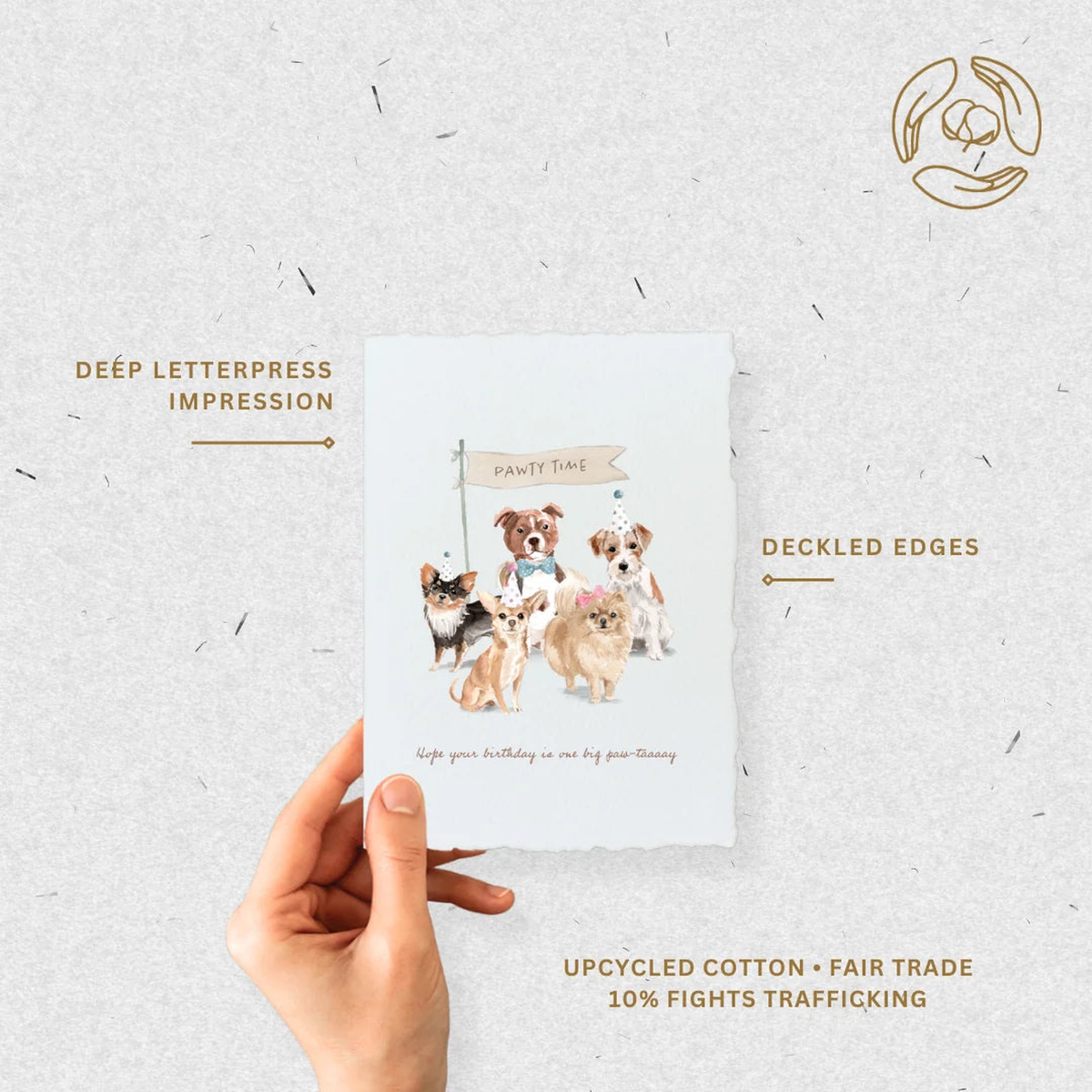 birthday paw tay dogs eco friendly greeting card_2