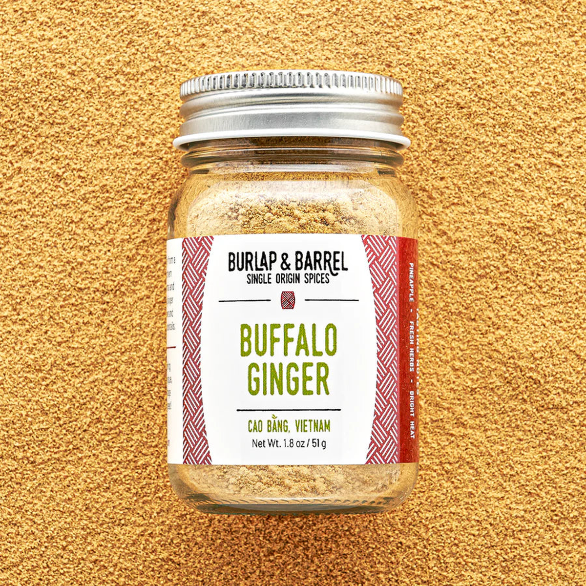 buffalo ginger_1