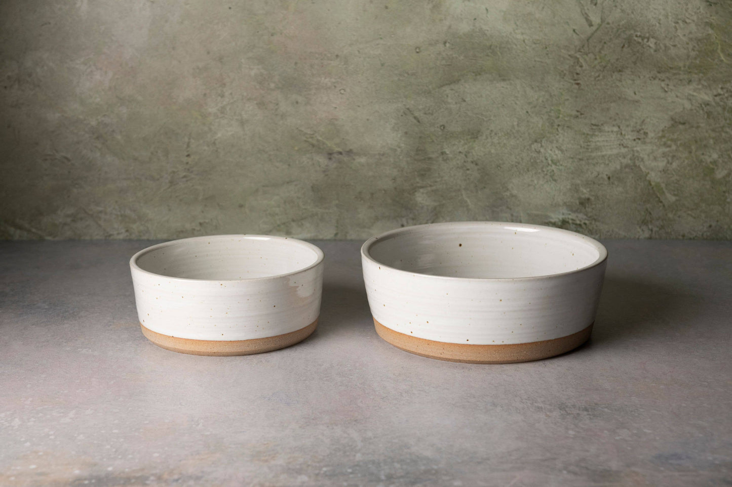 Dog Bowls Pair