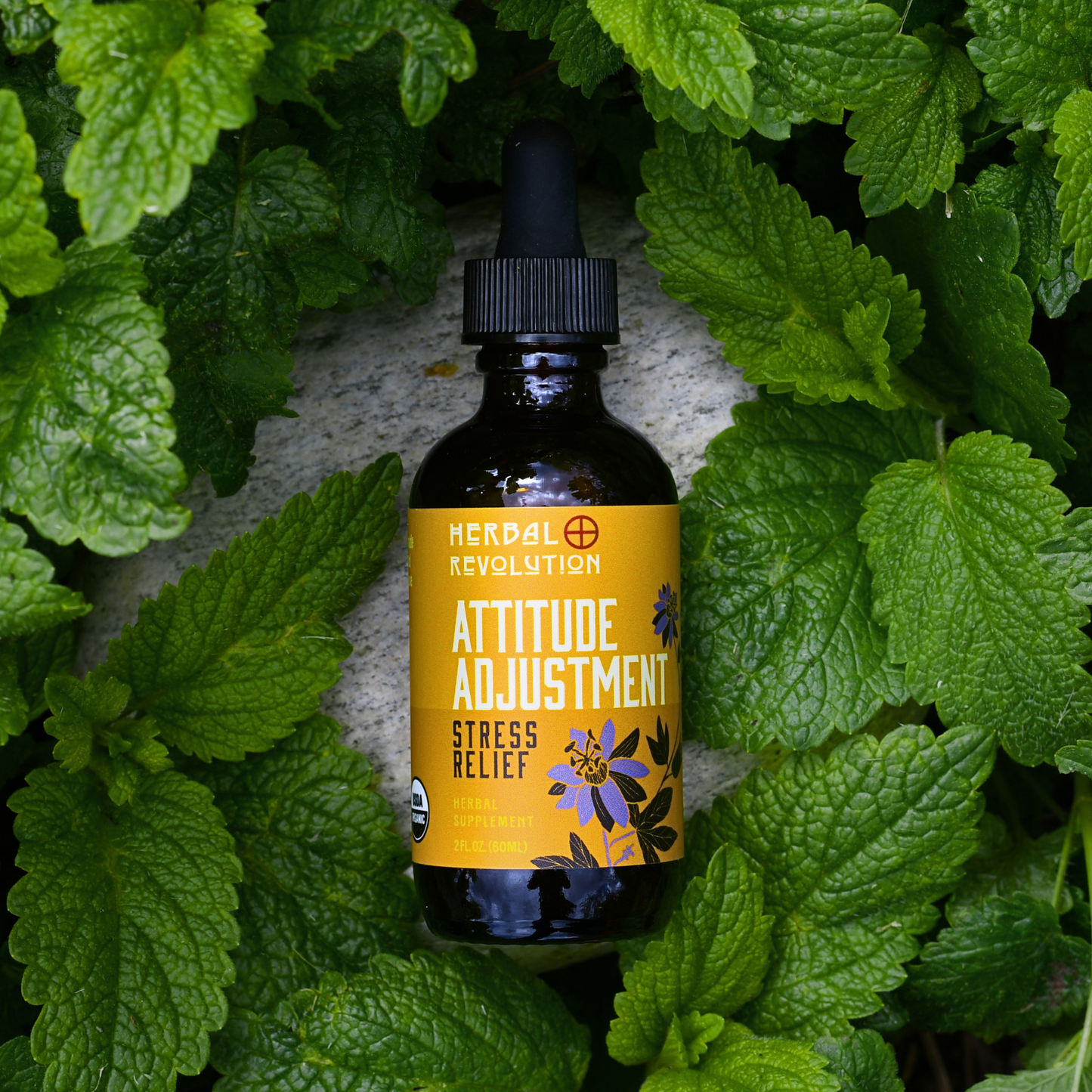 Attitude Adjustment: Stress & Anxiety Relief Elixir