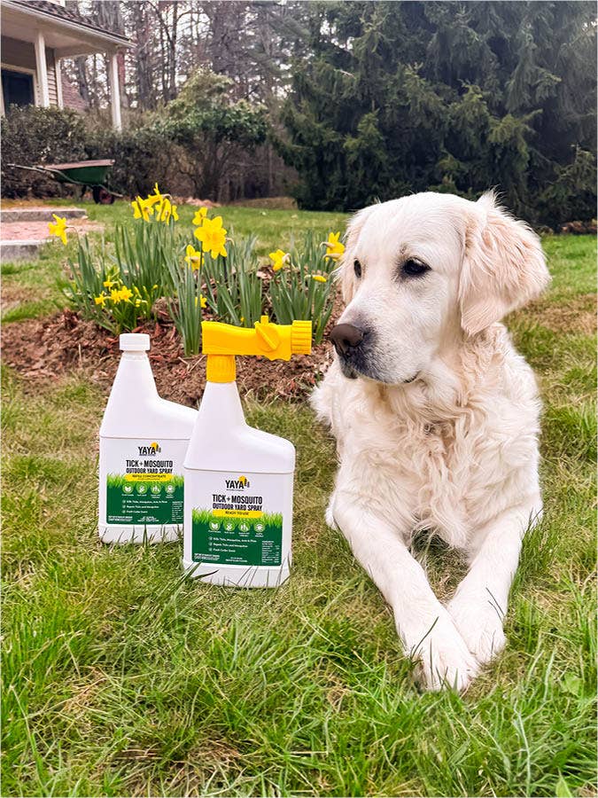 YAYA Organics - YAYA Tick + Mosquito Outdoor Yard Spray - Ready to Use