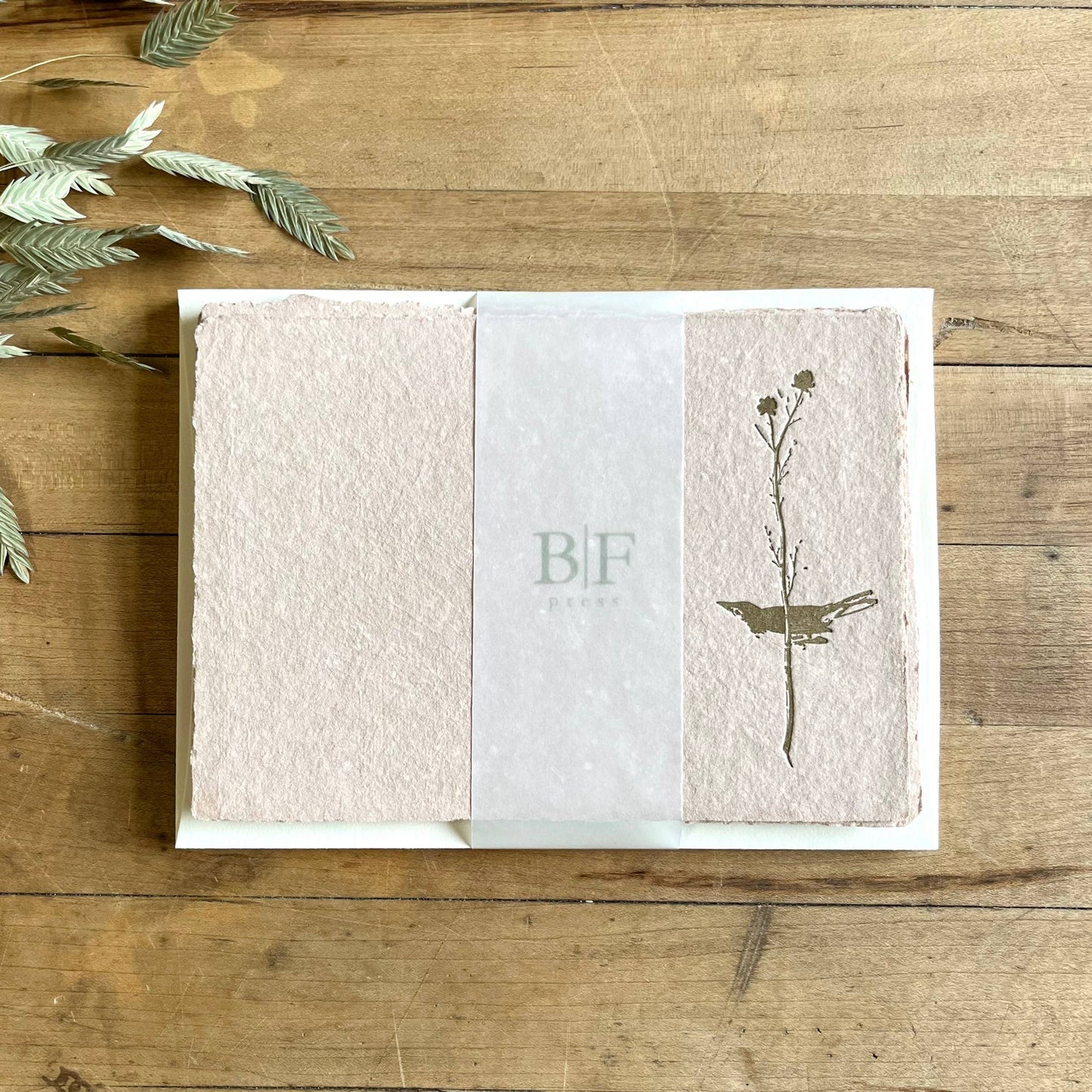 Selby's Flycatcher - Letterpressed Set (Blush Pink)  