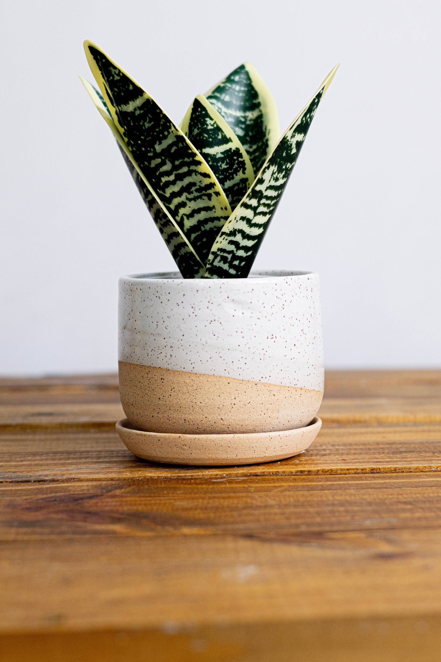 Handmade Ceramic Planter with Saucer – Wide Bottom