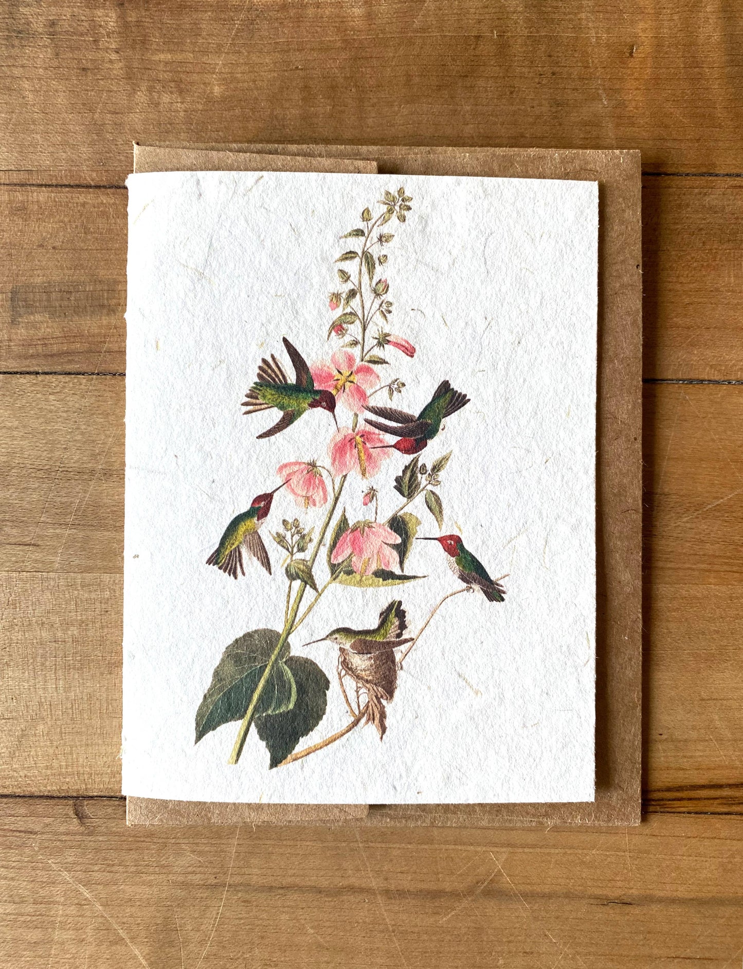 Bat Flower Press - Columbian Hummingbirds handmade card