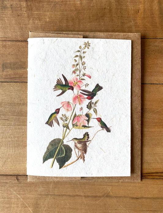 Bat Flower Press - Columbian Hummingbirds handmade card