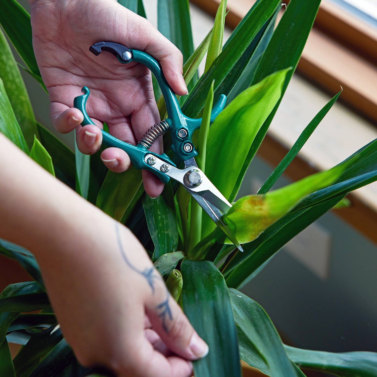 Garden Shears, Sage - Modern Sprout