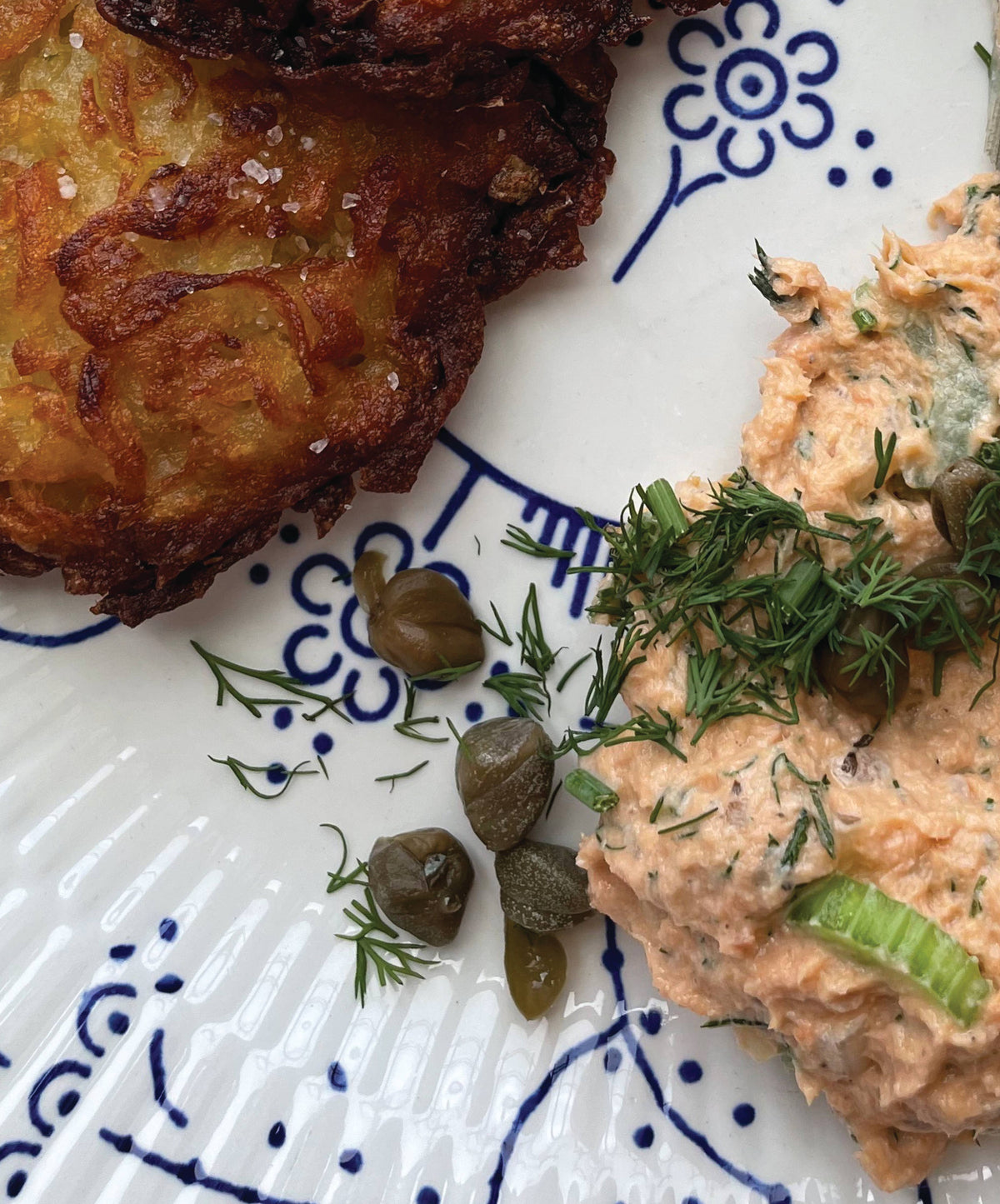 Minnow - Salmon
