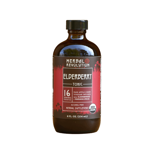elderberry tonic raw acv wmother digestive support_1