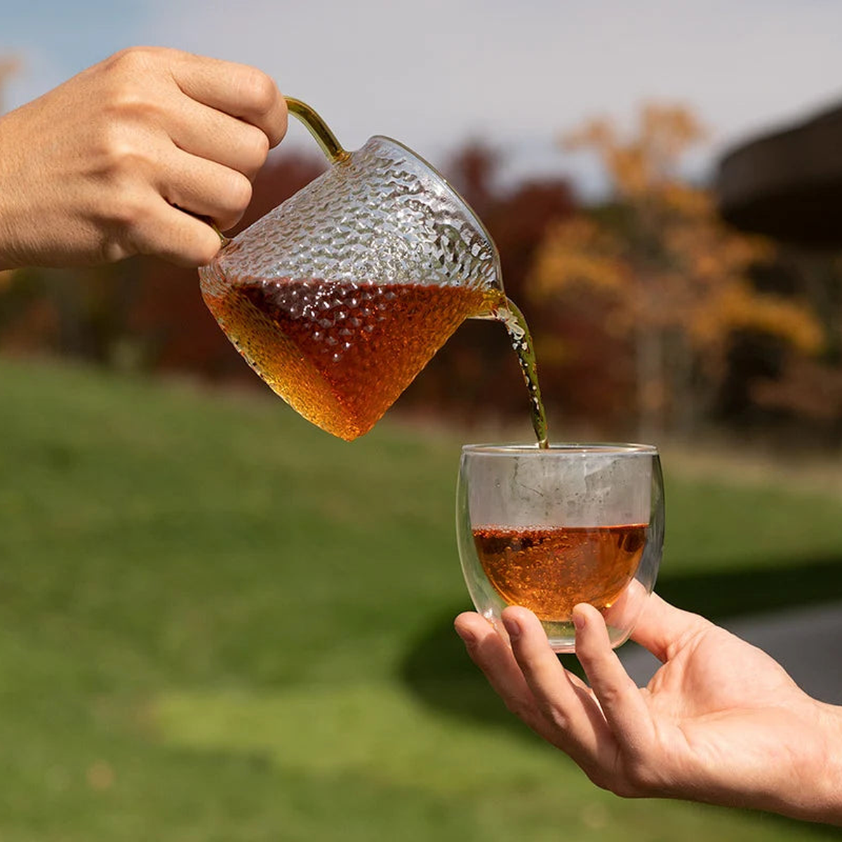 english breakfast black tea organic_4