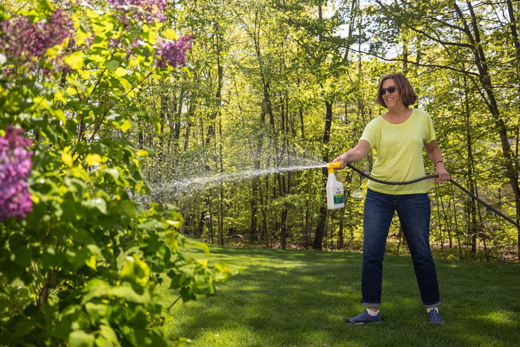 YAYA Organics - YAYA Tick + Mosquito Outdoor Yard Spray - Ready to Use