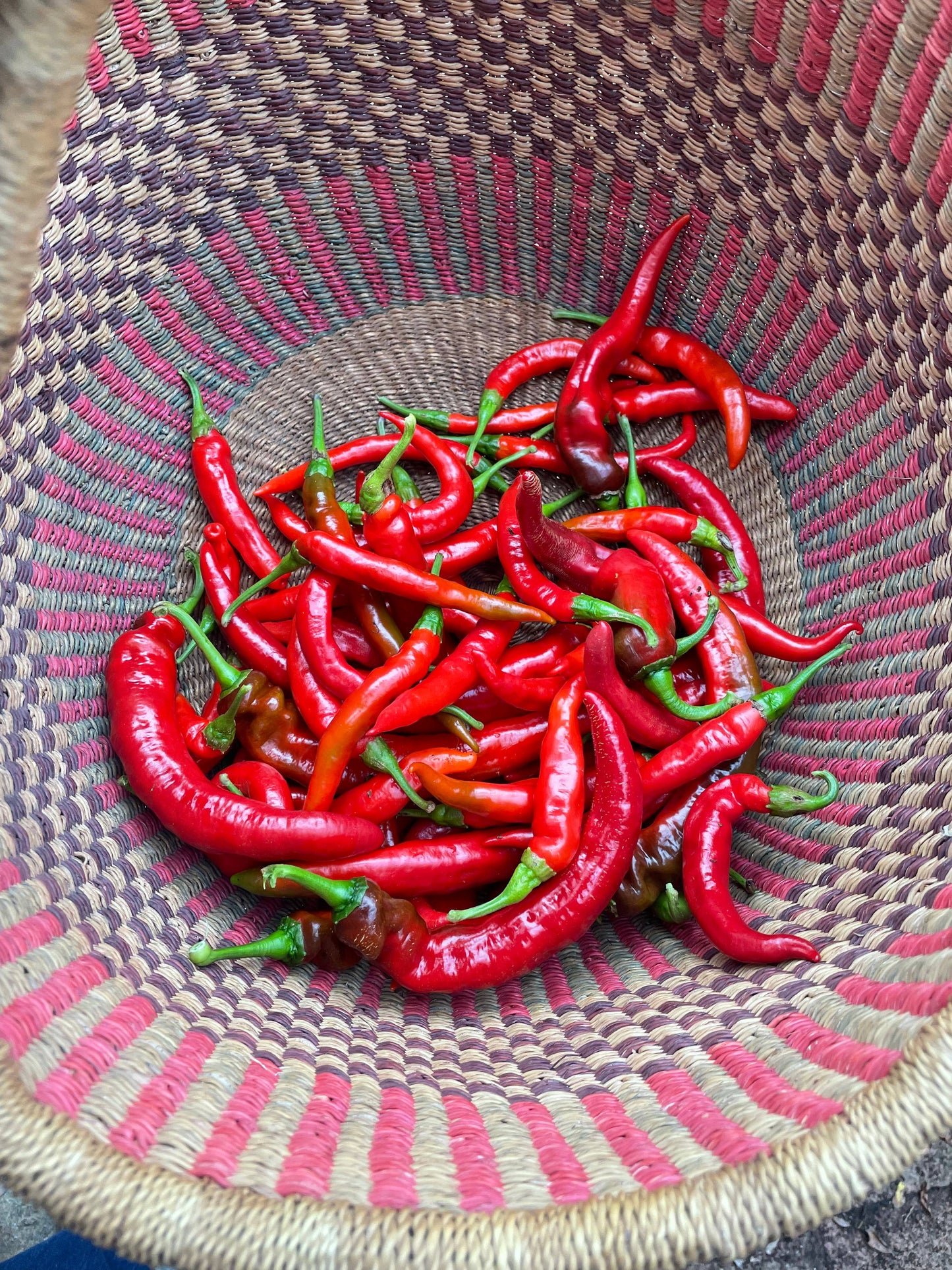 Hot Sauce, Fermented Cayenne (5.1 fl oz)