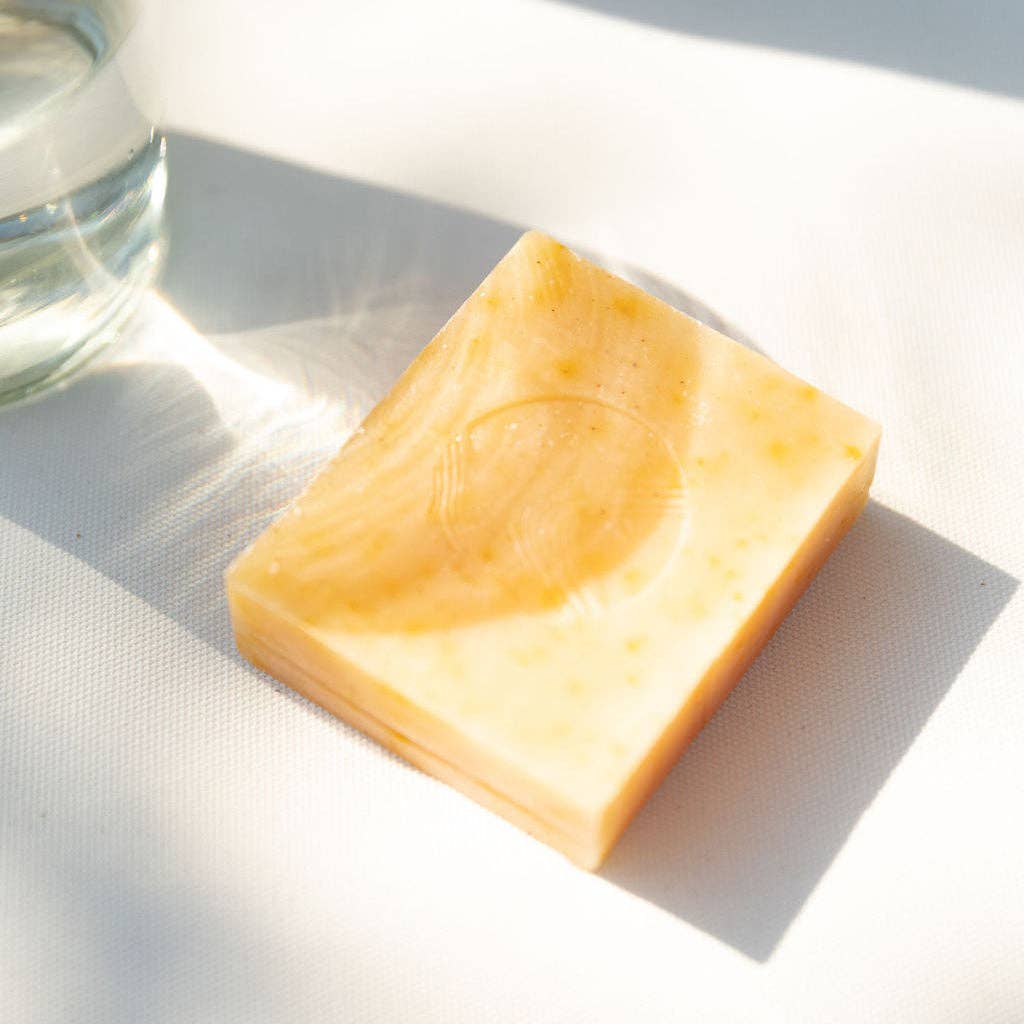 Pumpkin + Wild Carrot Complexion Soap