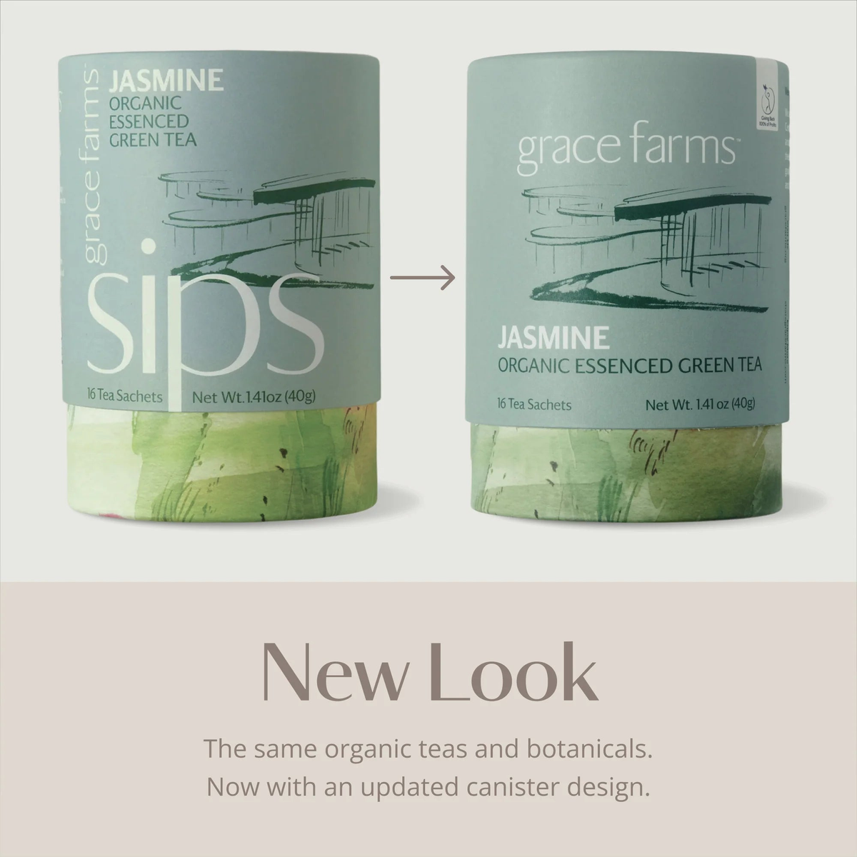 jasmine essenced green tea organic_3