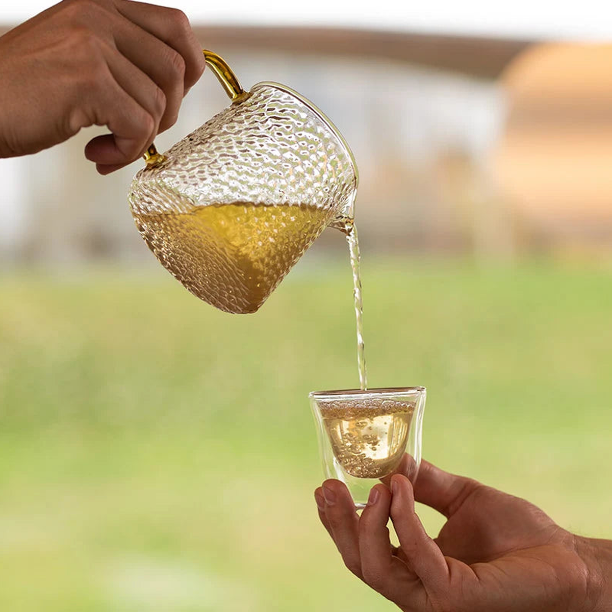 jasmine essenced green tea organic_4