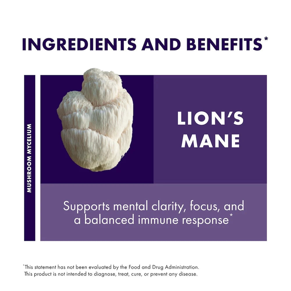 lions mane_2