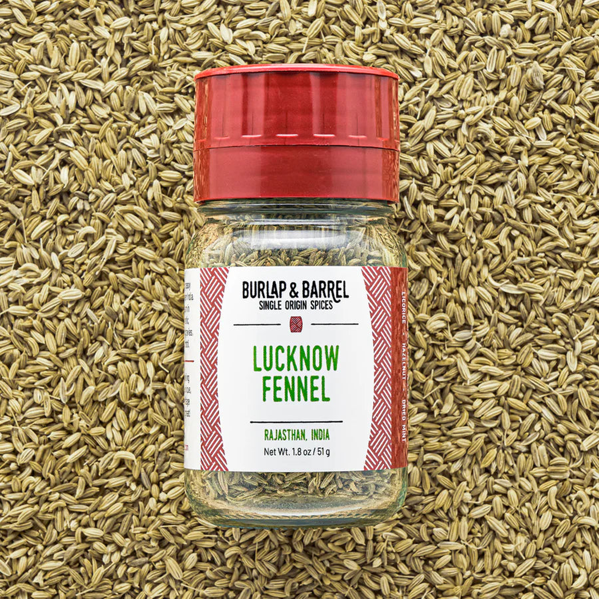lucknow fennel_1