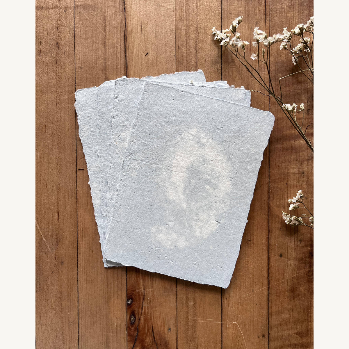 mini set of cards with envelopes moss gold off white_12