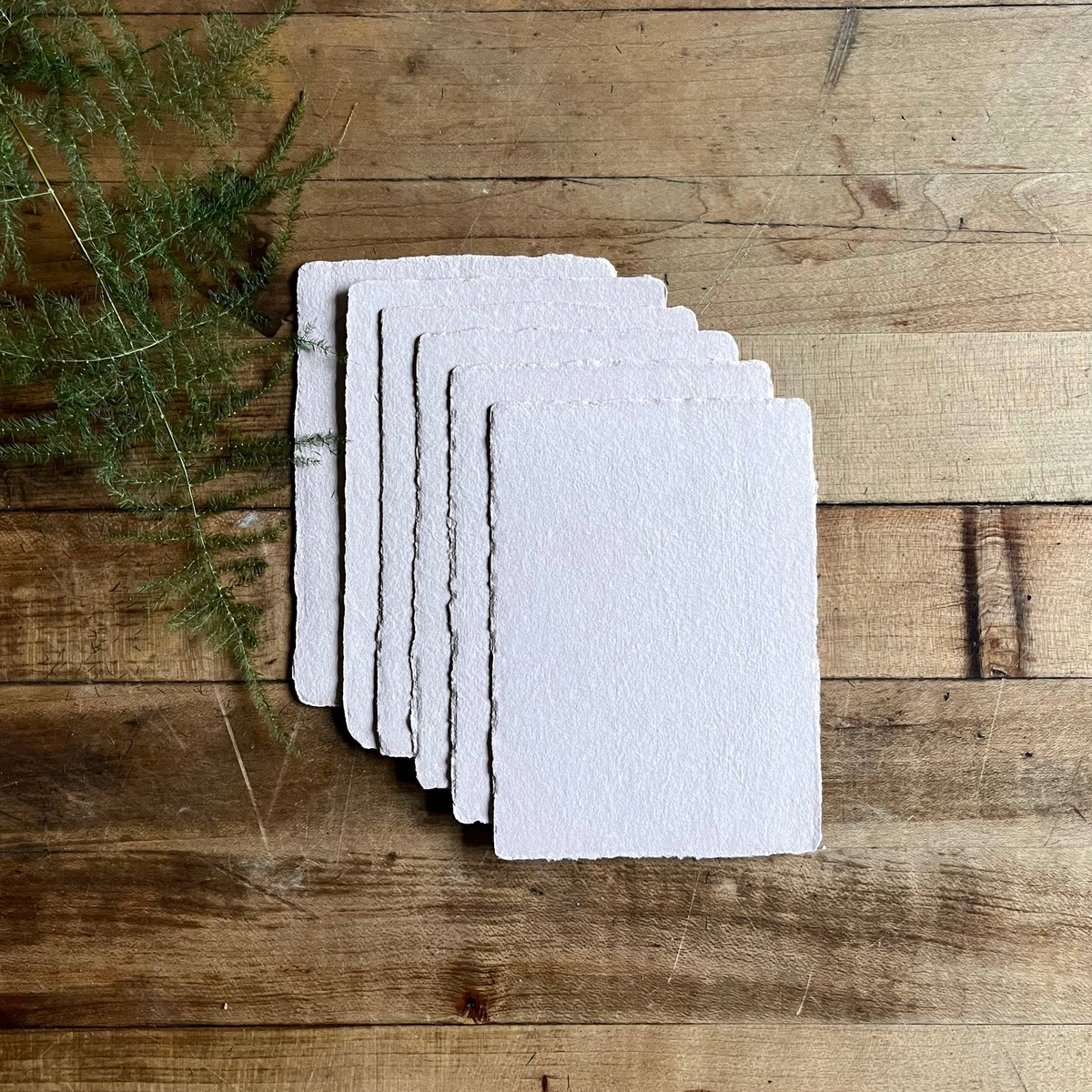 mini set of cards with envelopes moss gold off white_16