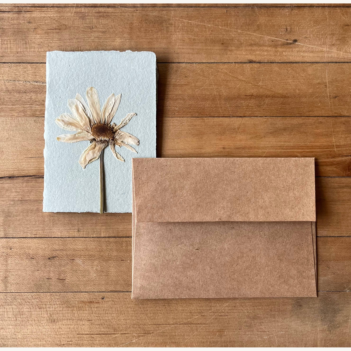 montauk daisy pressed flower card_2