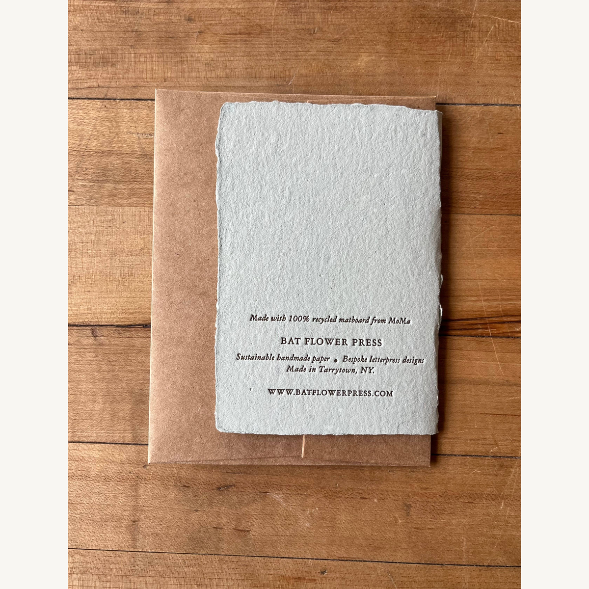 montauk daisy pressed flower card_3