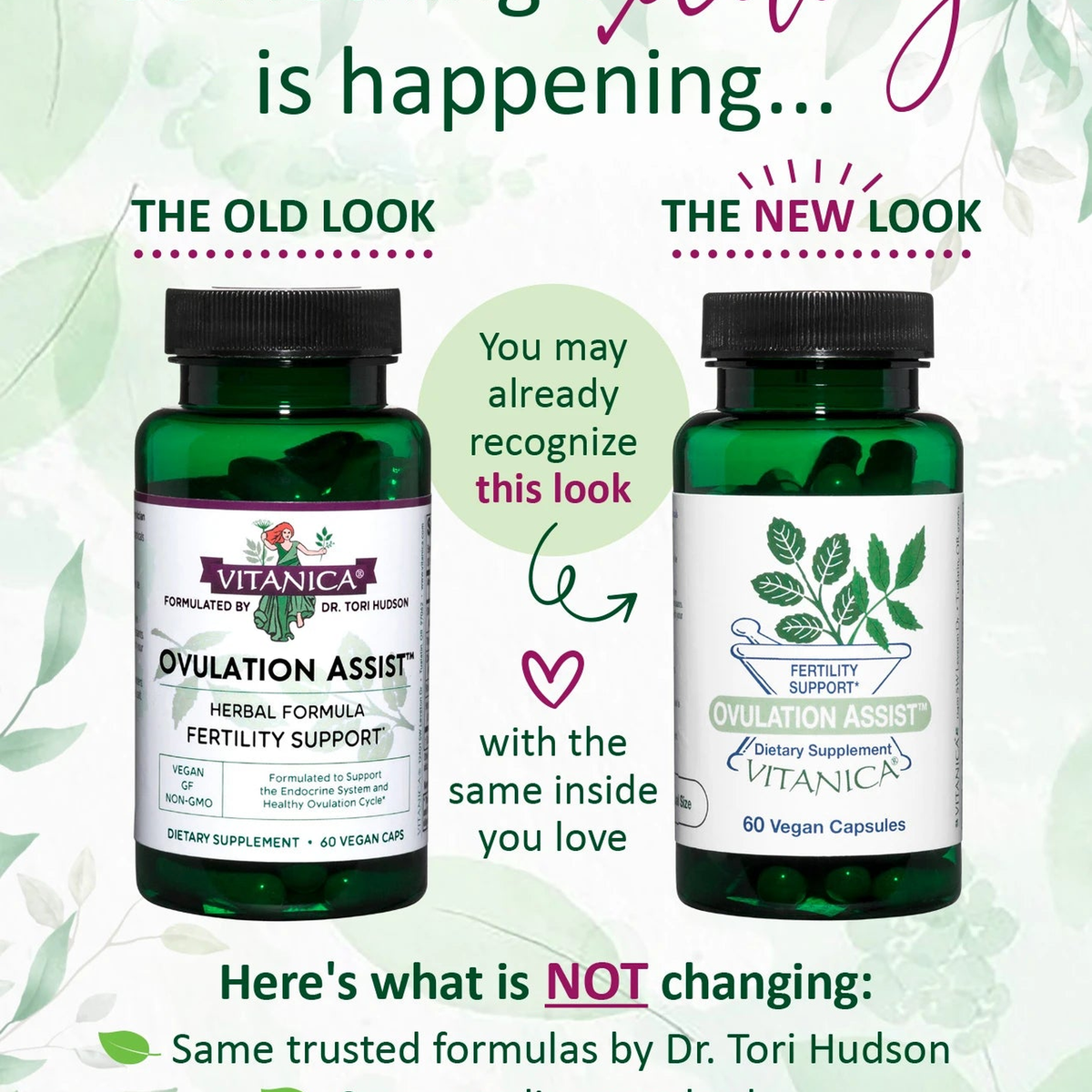 ovulation assist_2