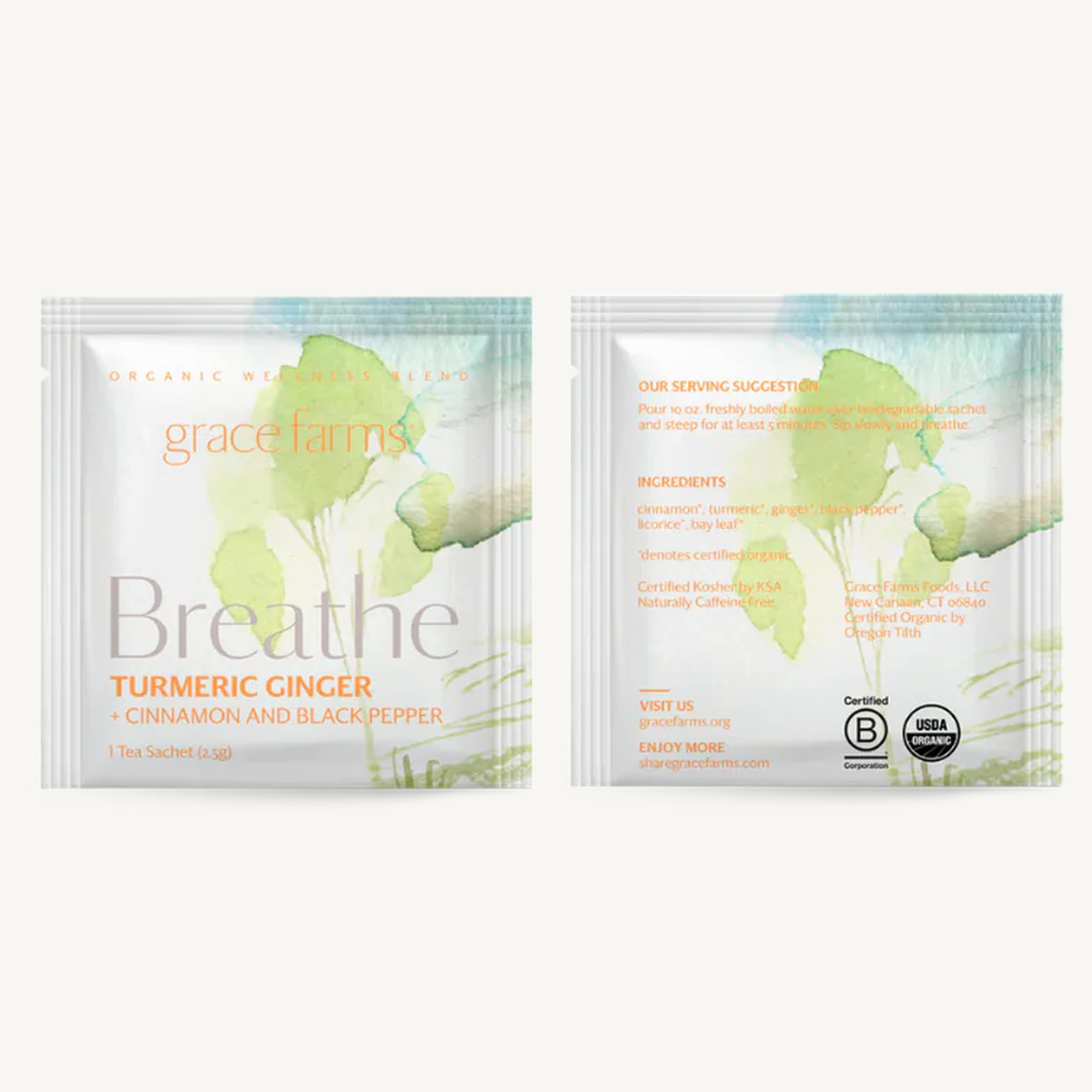 Tea - Breathe, Tumeric Ginger Organic (16 tea sachets)