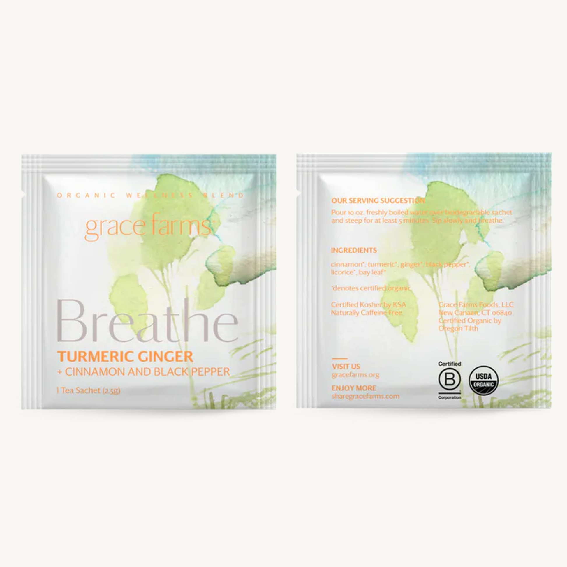 Tea - Breathe, Tumeric Ginger Organic (16 tea sachets)