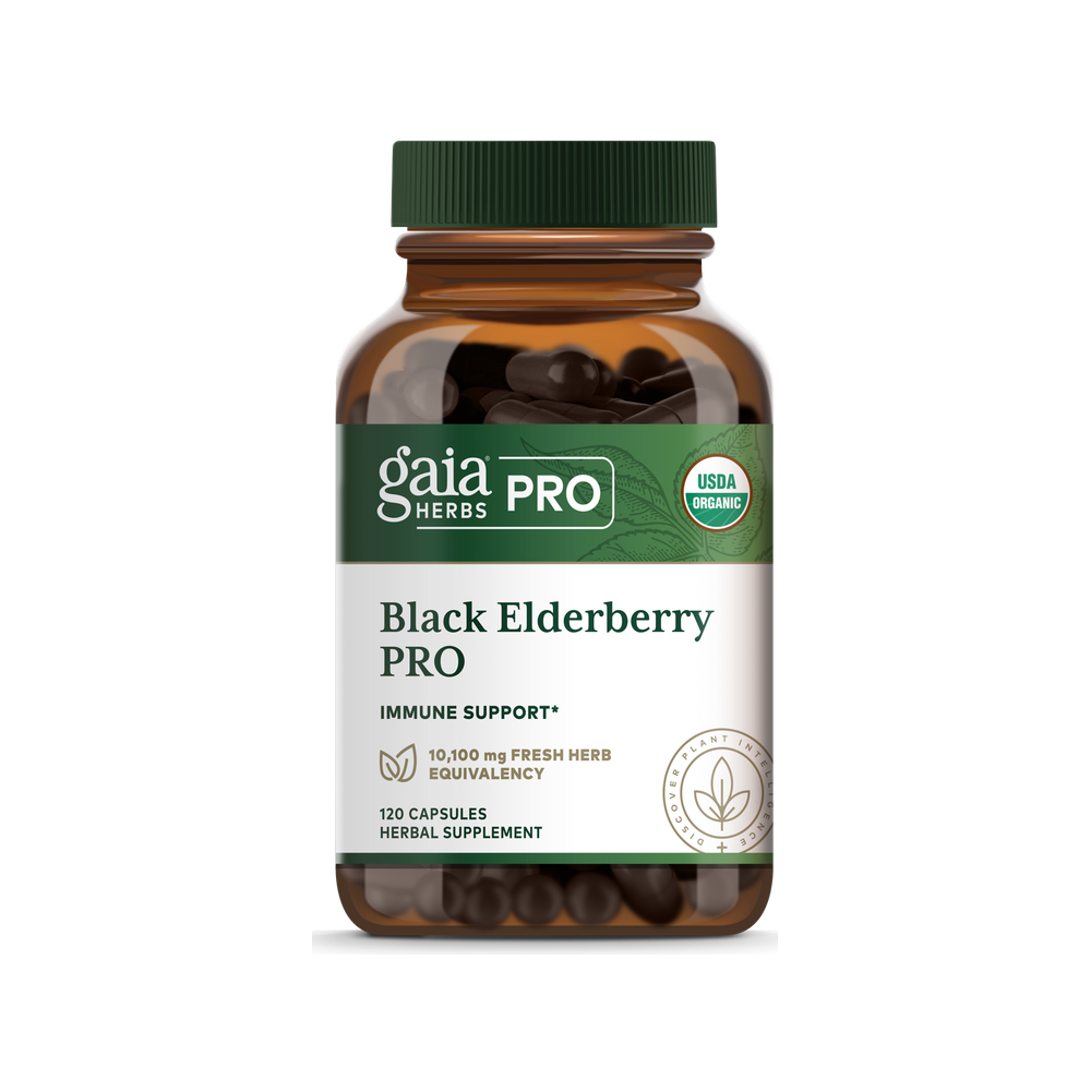 Black Elderberry PRO (120 caps)