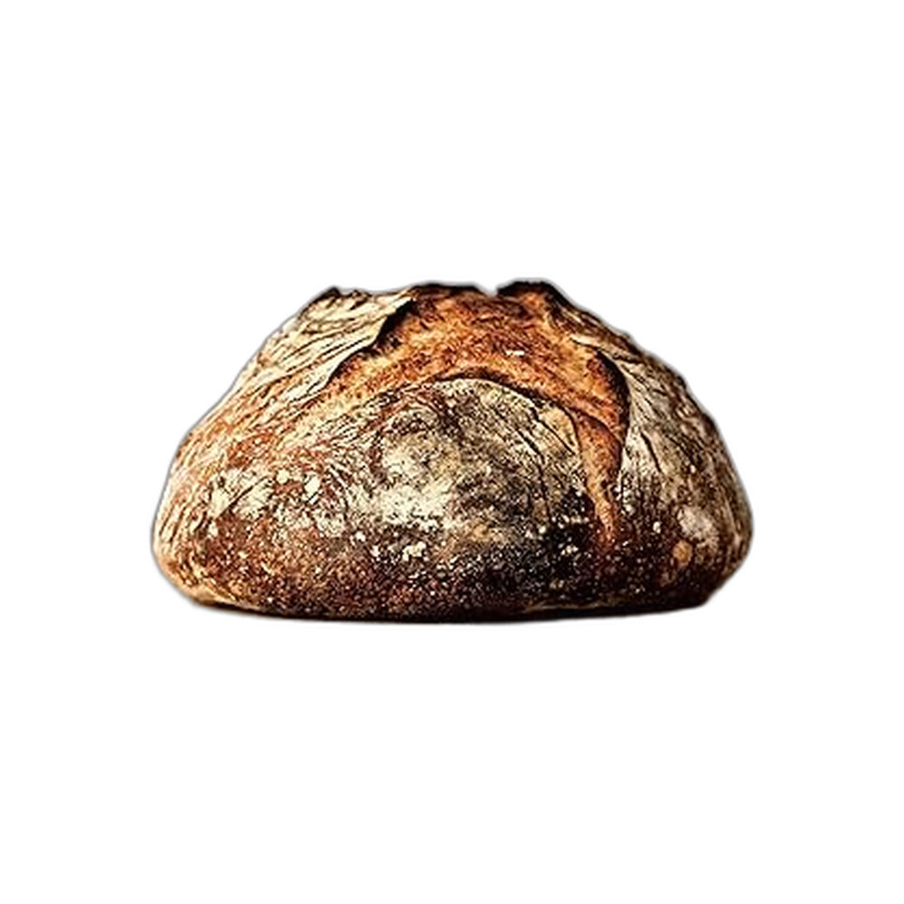 Flour Water Salt Yeast: The Fundamentals (Cookbook)