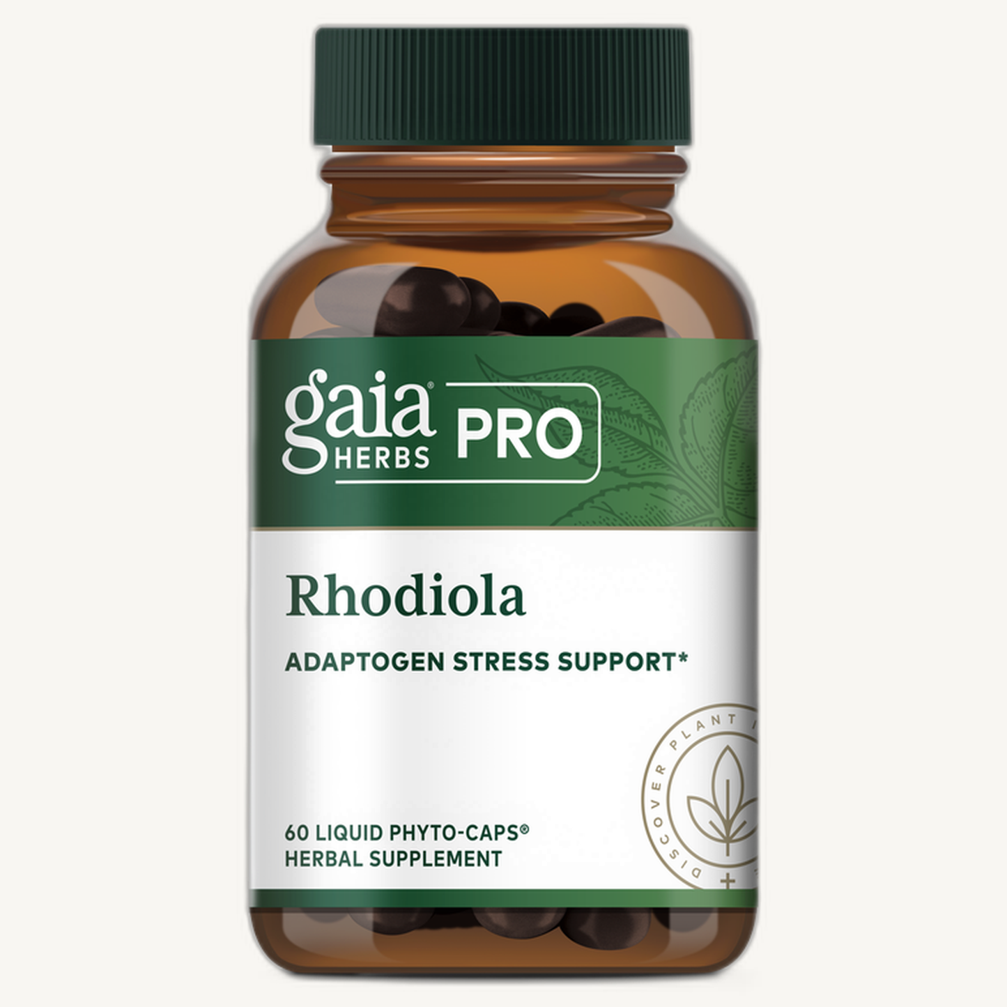 Rhodiola