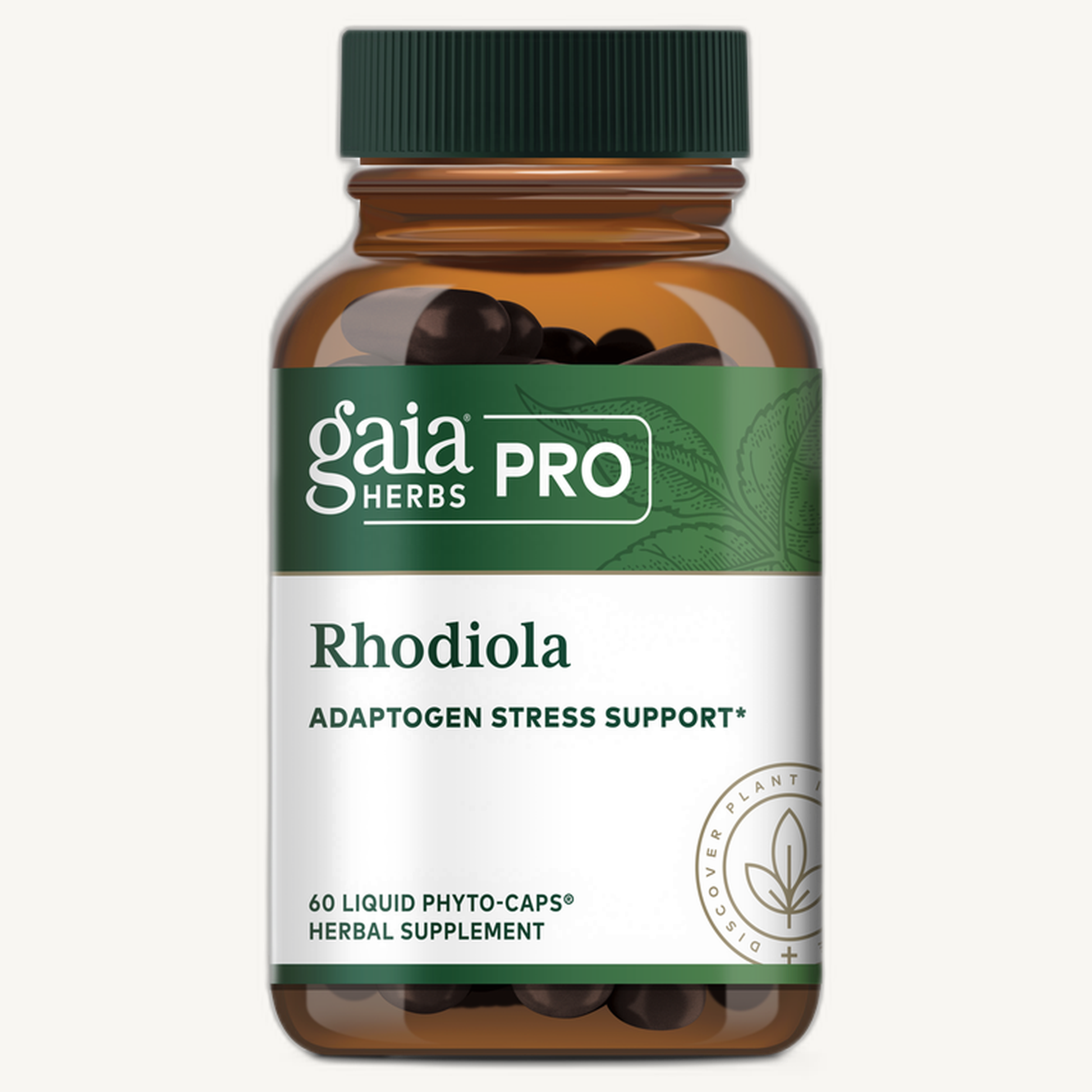 Rhodiola