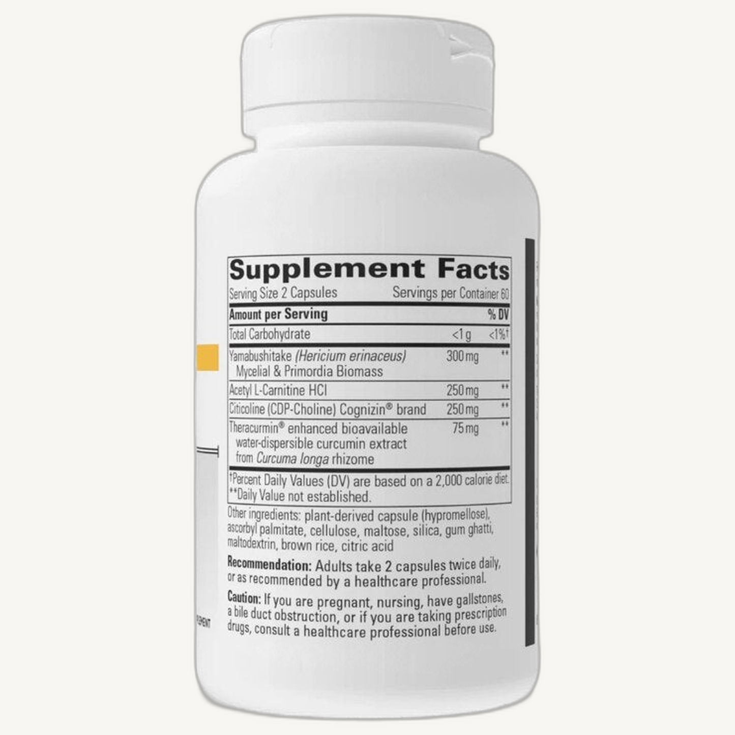 ProThrivers Wellness Brain