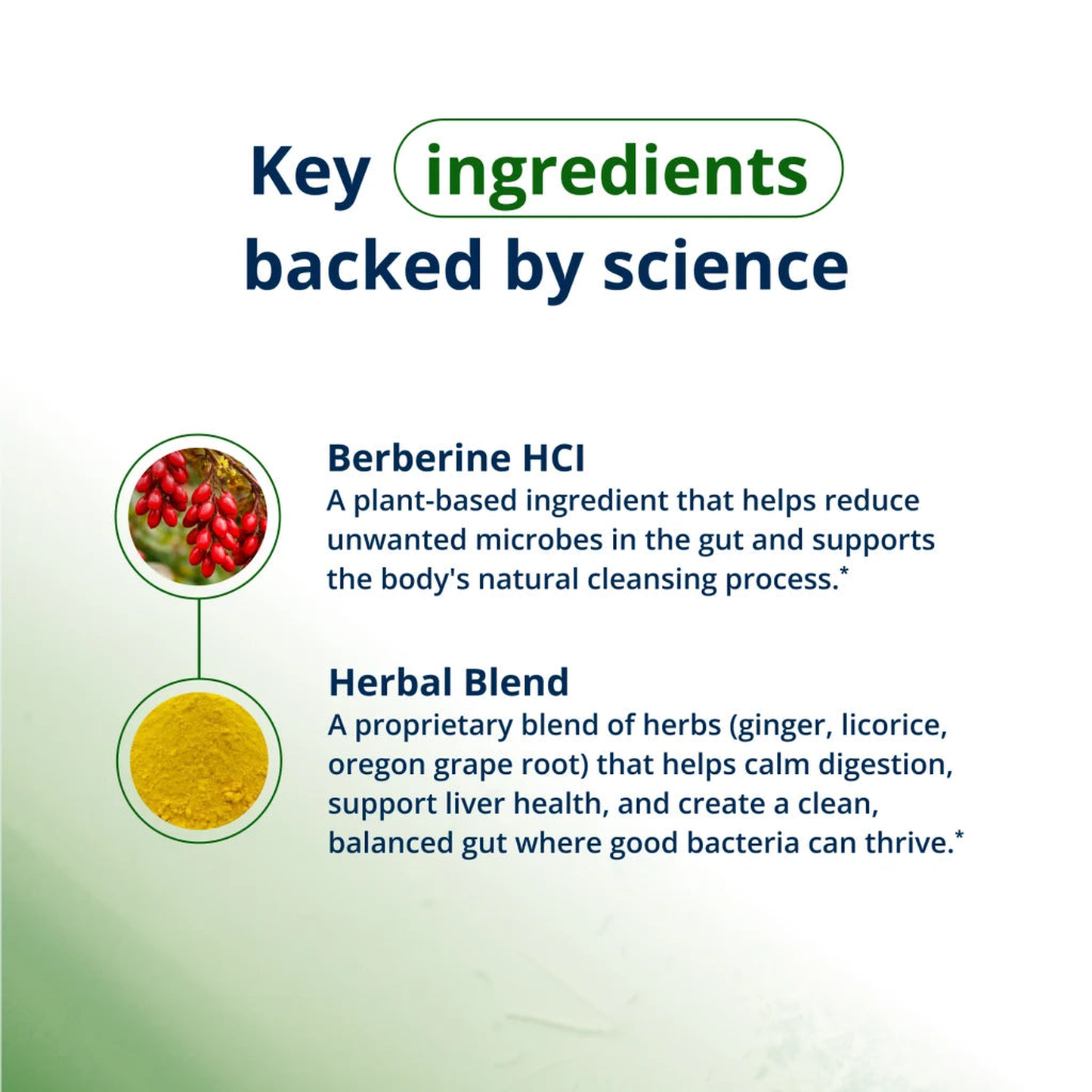 CandiBactin-BR - Gut Health