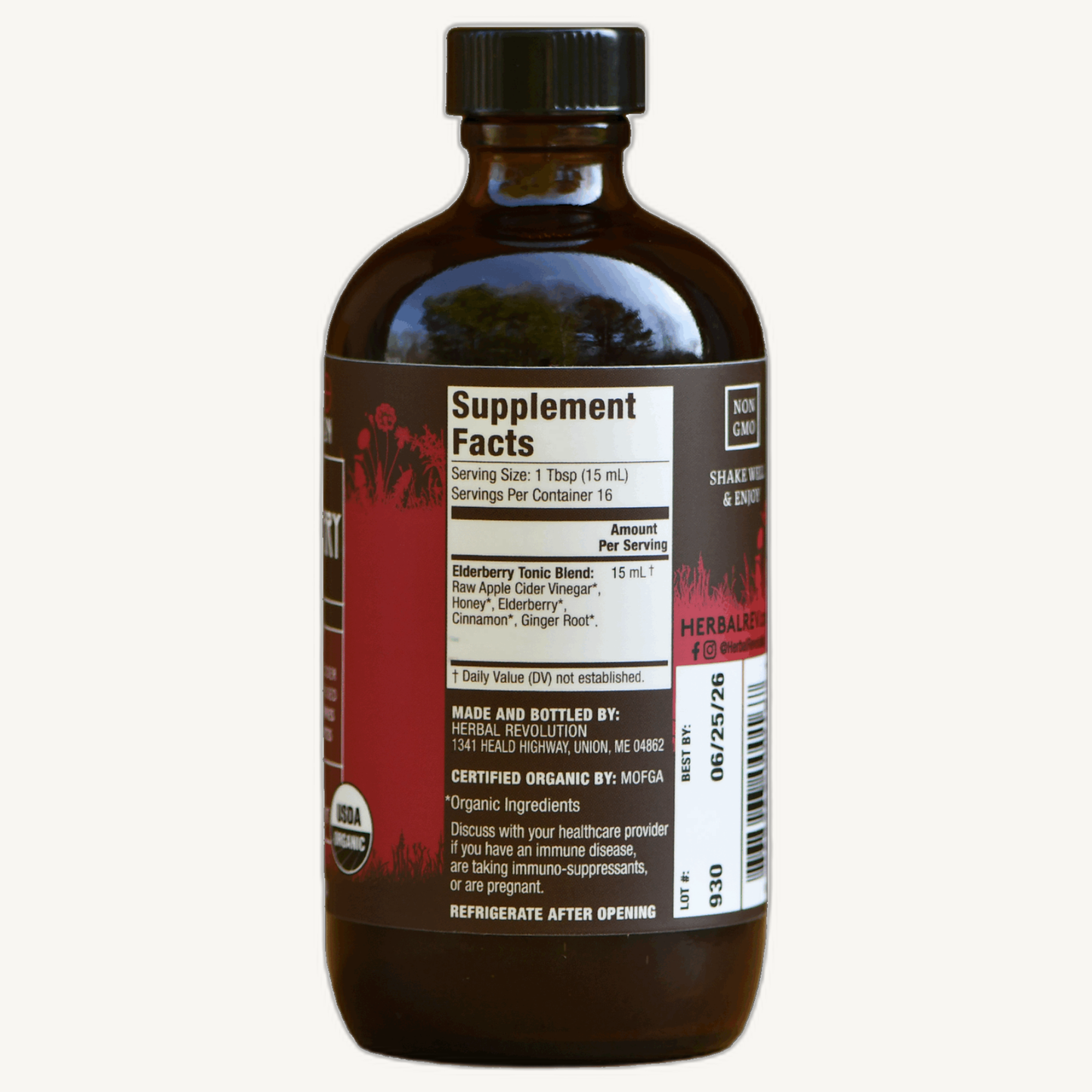 Elderberry Tonic - Raw ACV w/Mother, Digestive Support (8 fl oz)