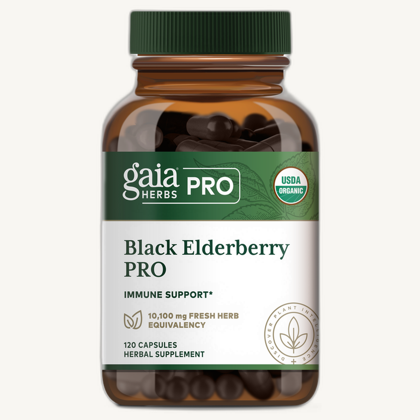 Black Elderberry PRO