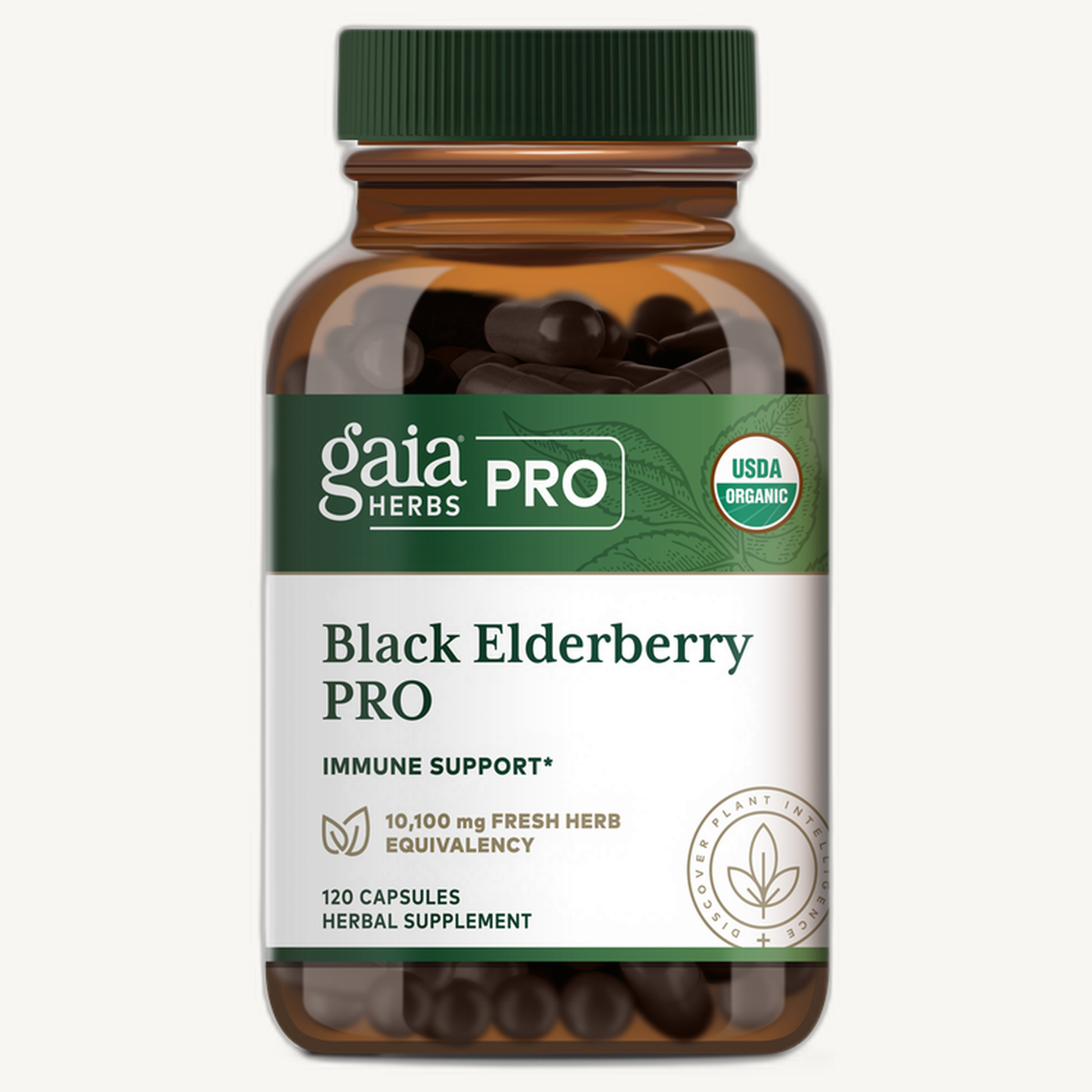 Black Elderberry PRO