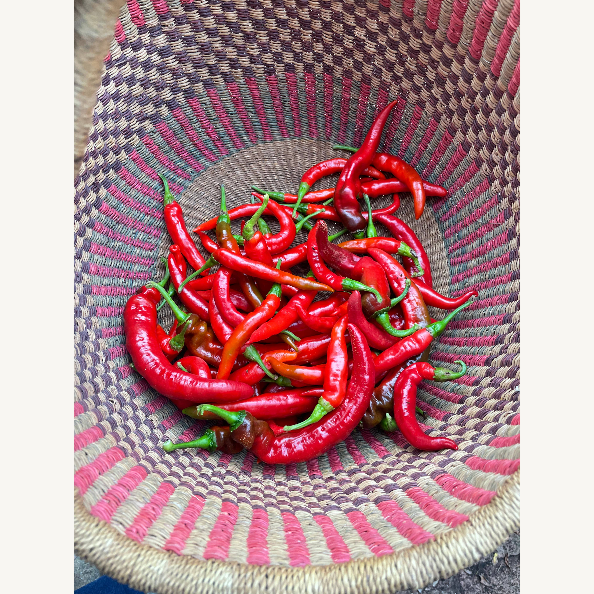 Hot Sauce, Fermented Cayenne