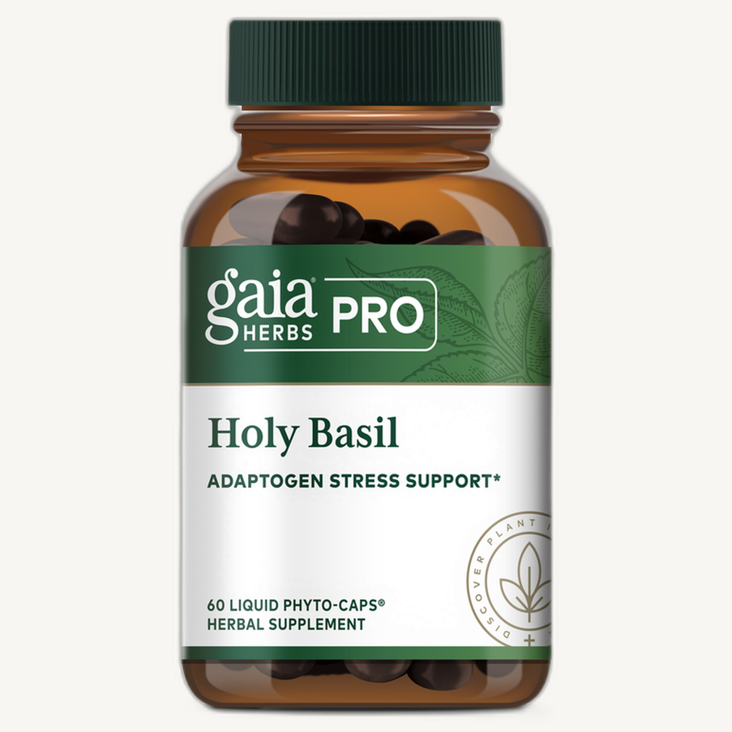 Holy Basil