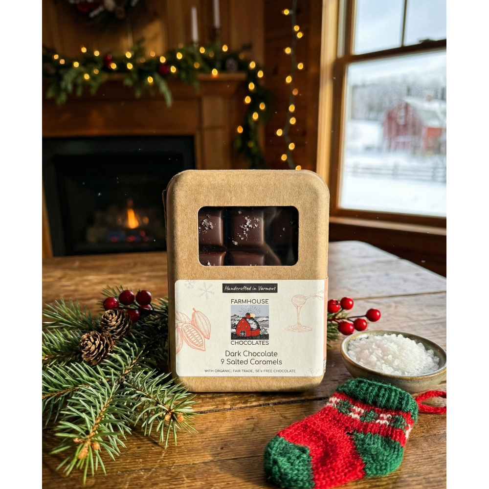 Caramels - Dark Chocolate covered, salted (9 Piece)