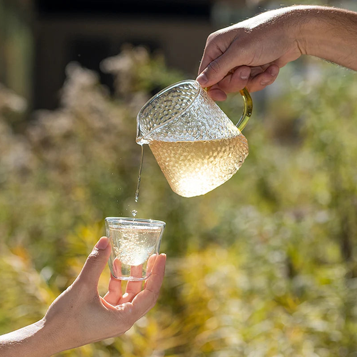 revive wellness tea yerba mate organic_4